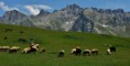 /album/macahel/a10389-123750451124475-333027302-n-jpg1/