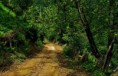 /album/macahel/a379529-123750491124471-1068287433-n-jpg1/